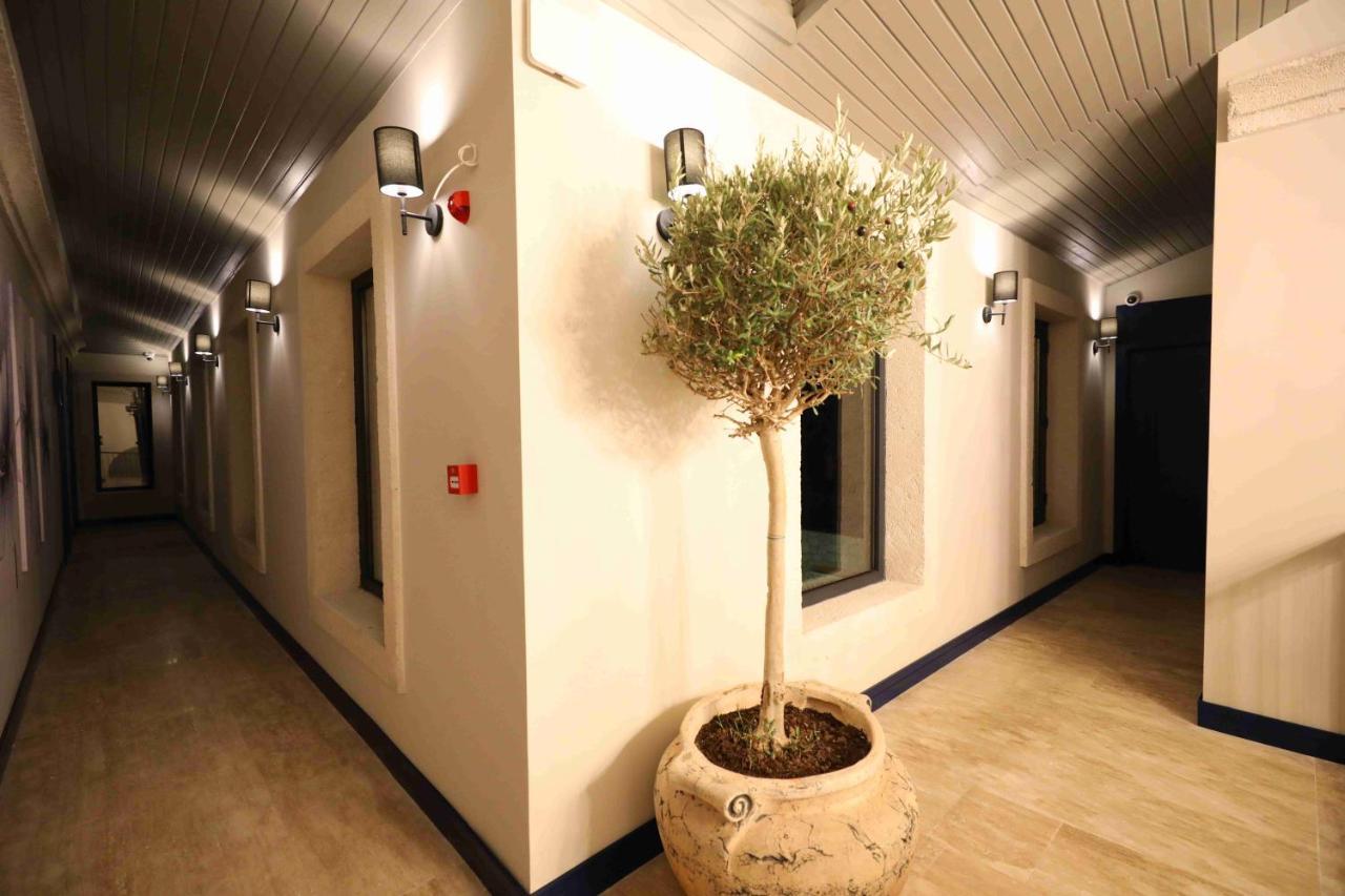 Ariel Hotel アラカティ エクステリア 写真